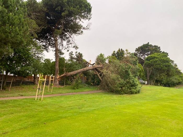 Un buen mantenimiento de la masa vegetal de un campo de golf evita accidentes.