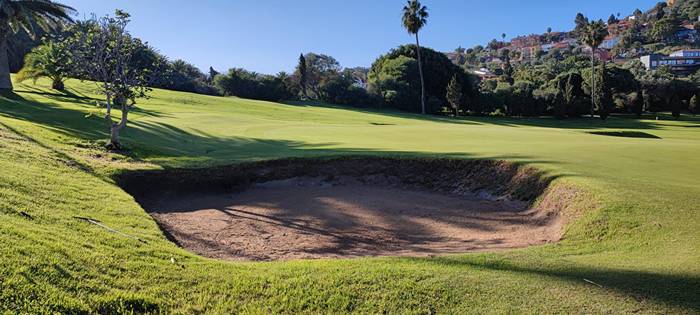 Los Consejos de Octavio Rodríguez