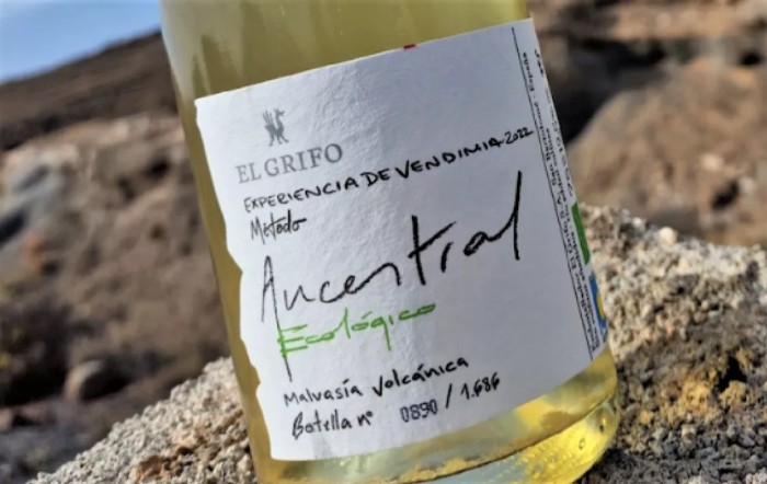 Medalla de oro  Ecovino 2023 para Ancestral Blanco Ecológico