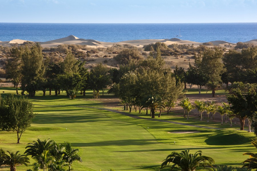 El I Torneo Tritón Control de Plagas se disputa en Maspalomas Golf