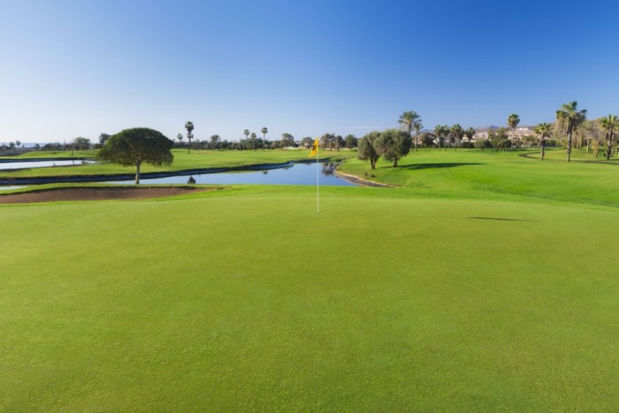 Fuerteventura acoge este sábado el 15º Torneo ANJOCA Golf Cup