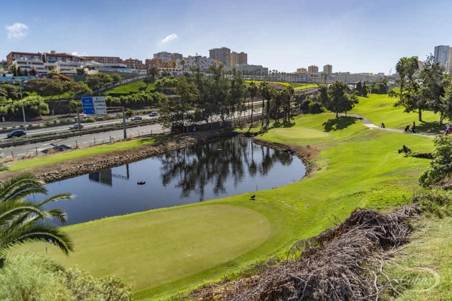 Las Palmeras Golf se viste de gala para el Campeonato de Canarias Dobles de Pitch & Putt