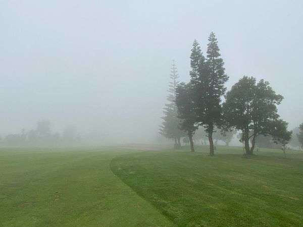Niebla en el Real Club de Golf de Tenerife