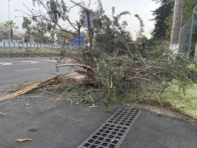 Temporal de viento durante el torneo Apertura 2022, Real Club de Golf de Tenerife