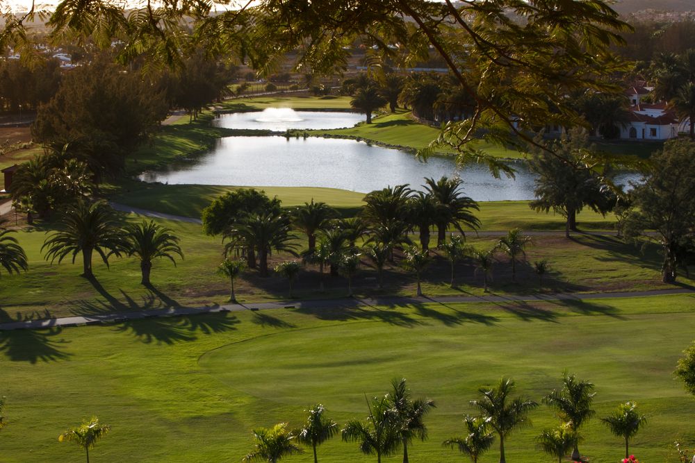 I Puntuable de la F.C.G. se juega en Maspalomas Golf